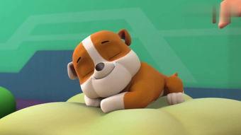 与鸭共舞在线高清观看,高清视觉盛宴，共赴自然和谐之旅  第2张